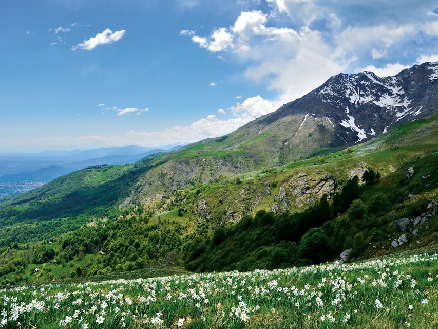 Pian delle nere e Quinzeina_DSC_4204.jpg